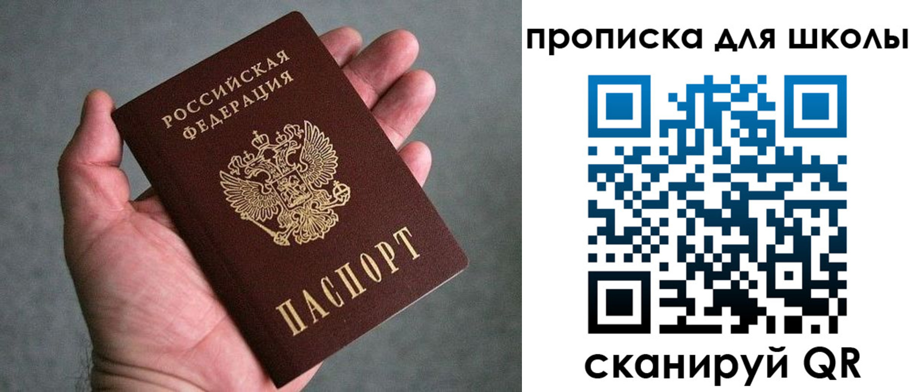 прописка для школы в Рыбном